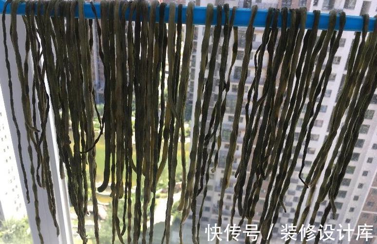 豆角|晒豆角干，有人直接晒，有人焯水，都不对，教你正确方法，好又快