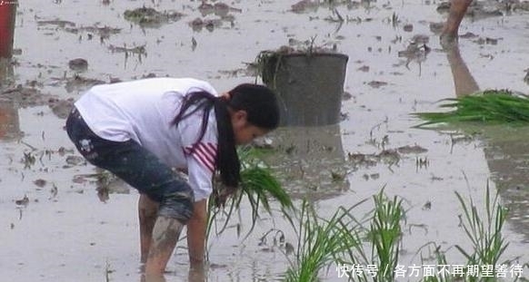 俗语:男无性不钢,女无性不秧,是何意?为何女人与秧苗有关系?