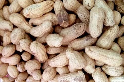 早晨空腹吃花生，6大益处不请自来，注意事项要了解