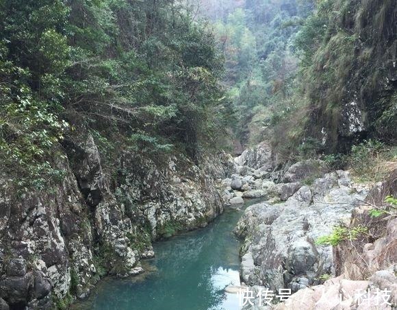 娃娃鱼|这是娃娃鱼吗山涧钓鱼，水底全是“四脚兽”，一小时钓了十几条！