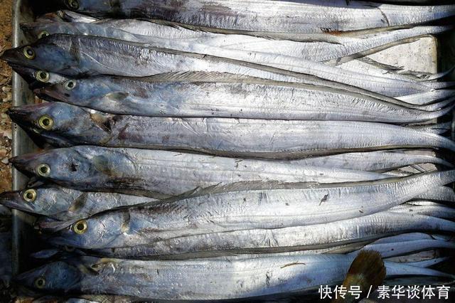 眼睛|买带鱼时,“黑眼睛”和“黄眼睛”哪个好?弄懂再买,少花冤枉钱