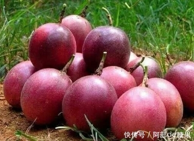 苹果|十个苹果都比不过一个”它“,排毒养颜、还抗癌!