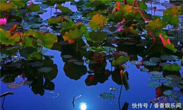 朱自清真是新文学的散文大师吗?余光中:浅白、累赘,够不上大师