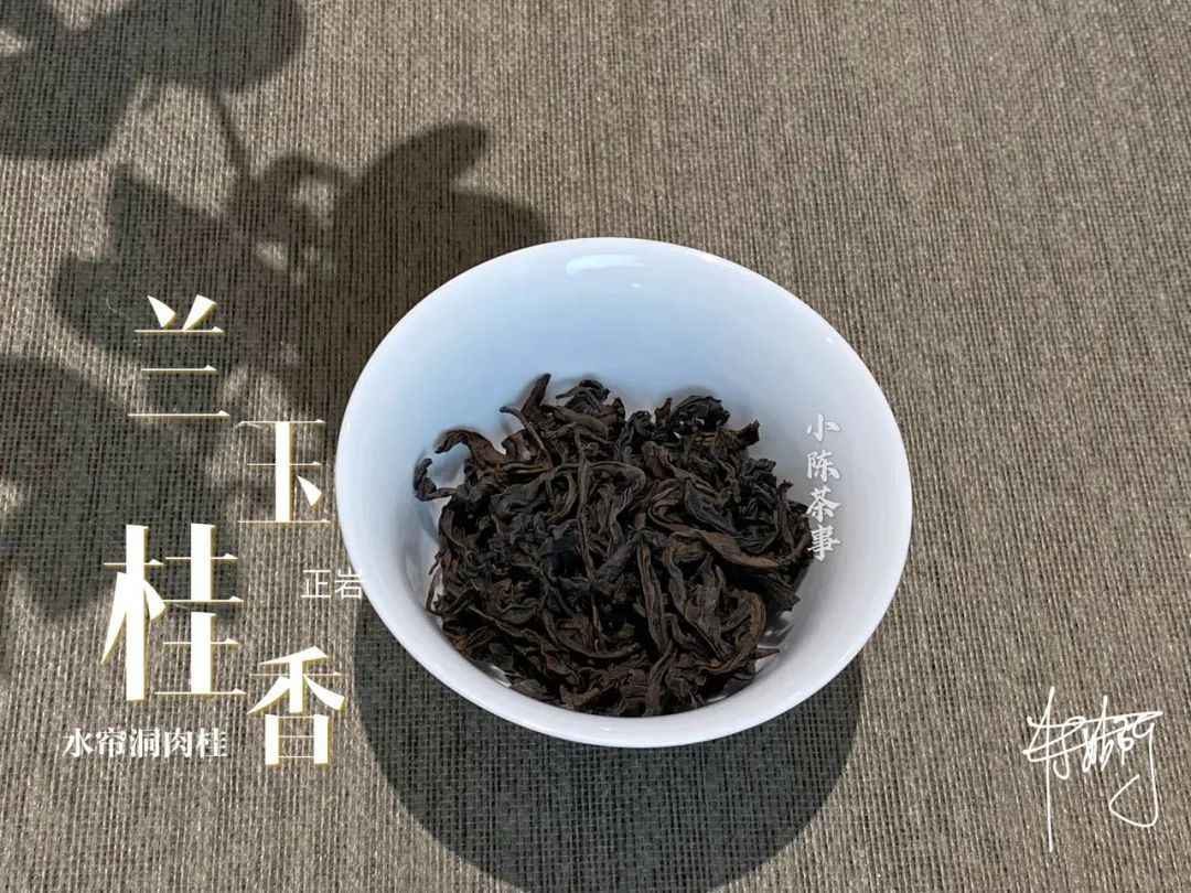 学术讨论|武夷岩茶还魂汤的学术讨论，专家不喝，茶客必留，这是为什么呢