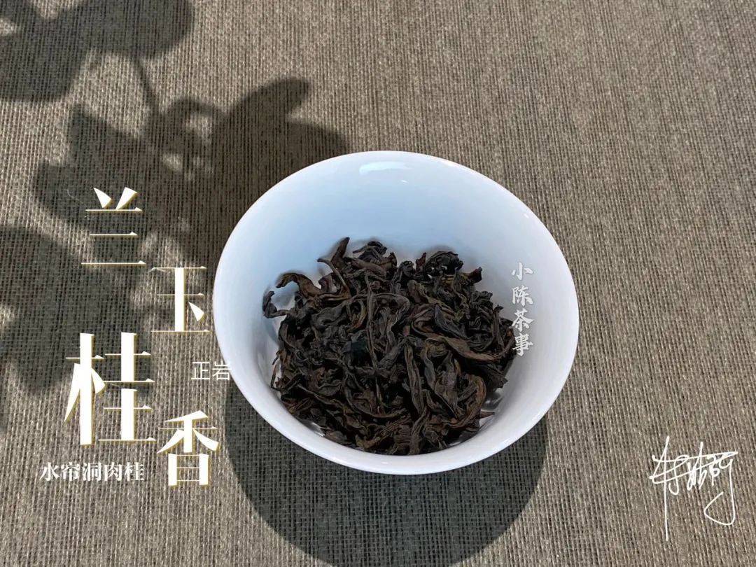 学术讨论|武夷岩茶还魂汤的学术讨论,专家不喝,茶客必留,这是为什么呢