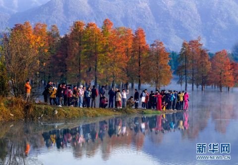  仙境|安徽黄山：奇墅湖晨景似仙境