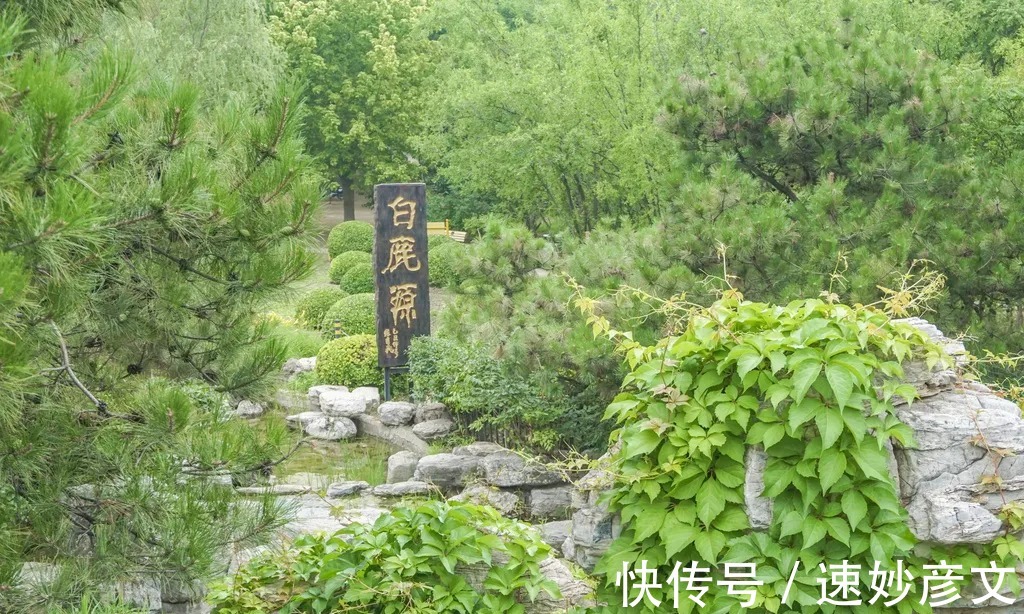 公园|门票0元却少有人去，北京这个明朝皇家饲养场四季皆是景！