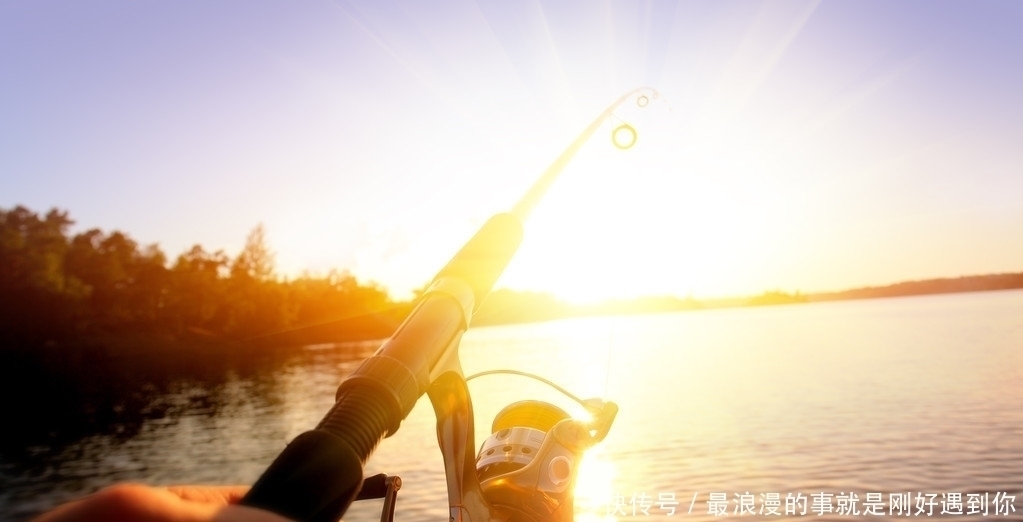 饵料|为什么太阳出来后，鱼就停口了？解析温度升高水中缺氧的作钓技巧