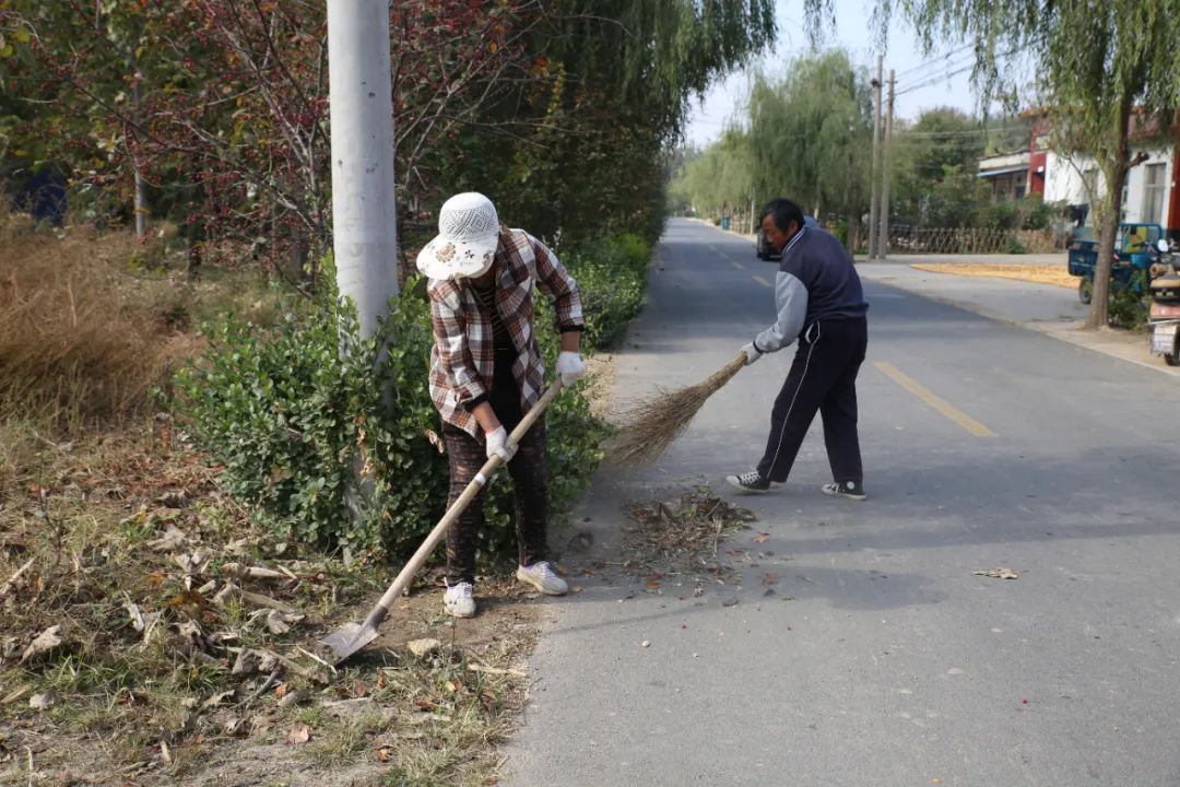 台子|台子镇：周末不休，全民动手提升城乡颜值