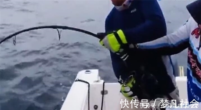 鱼线|是条大鱼,男子跟伙伴合力抬竿,鱼线突然断掉,男子崩溃躺船上
