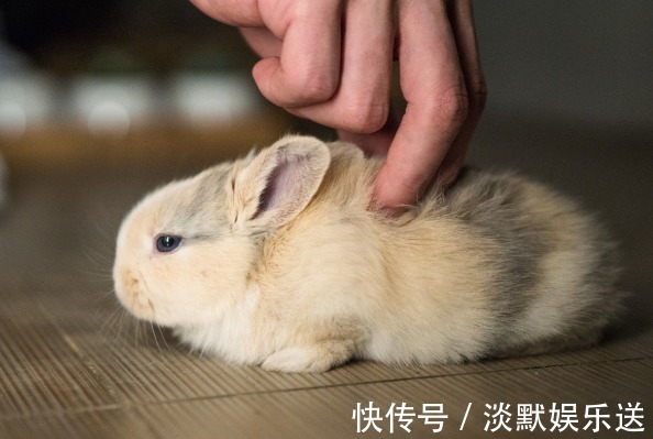贵人|“兔兔兔”一生最“克”谁注定就是你命中的贵人，好好珍惜！