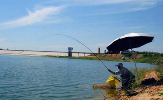 实用|夜钓的一些经验助你成功爆护,非常实用