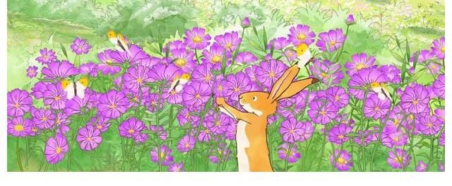 小兔子$一本励志的绘本书籍,读懂真实的爱意满满——推荐销量1800万