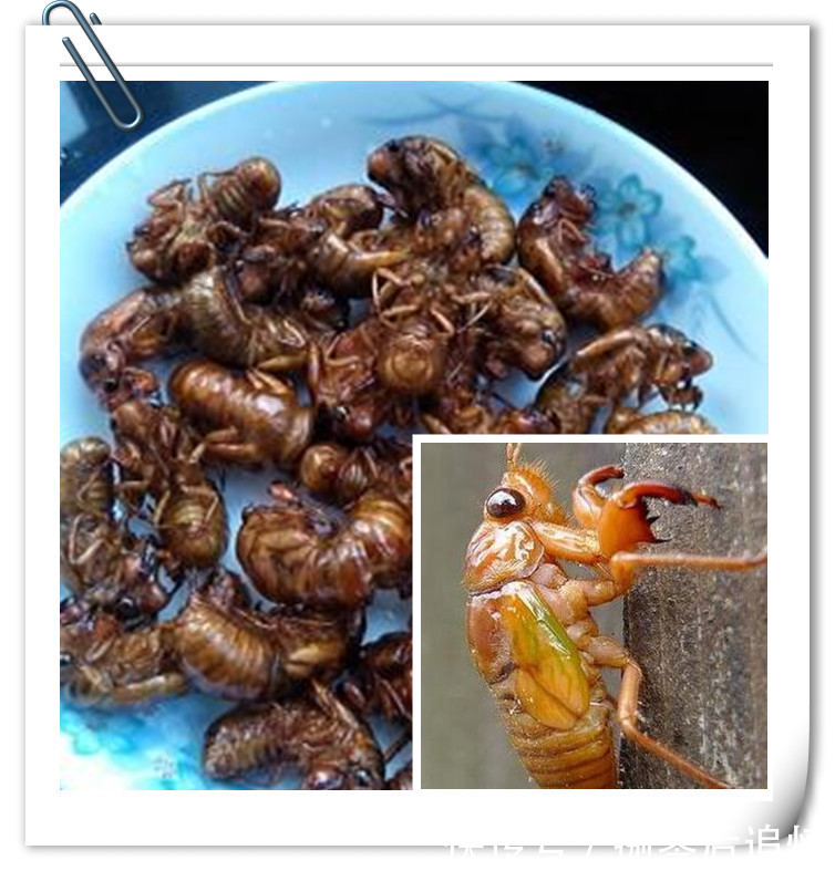 趣事|两亿多80后的童年趣事之美食篇