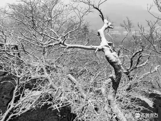 元宵节|冒雪登上千佛山，一览泉城美景、北国风光