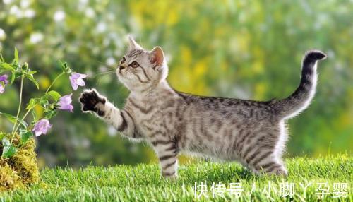 |幽默笑话:今天老板来公司视察,顺便给我们开了个会