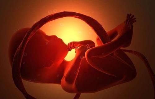 游泳|胎儿每天在妈妈肚子里忙什么?除了吃和睡,他们有好多事情要忙!