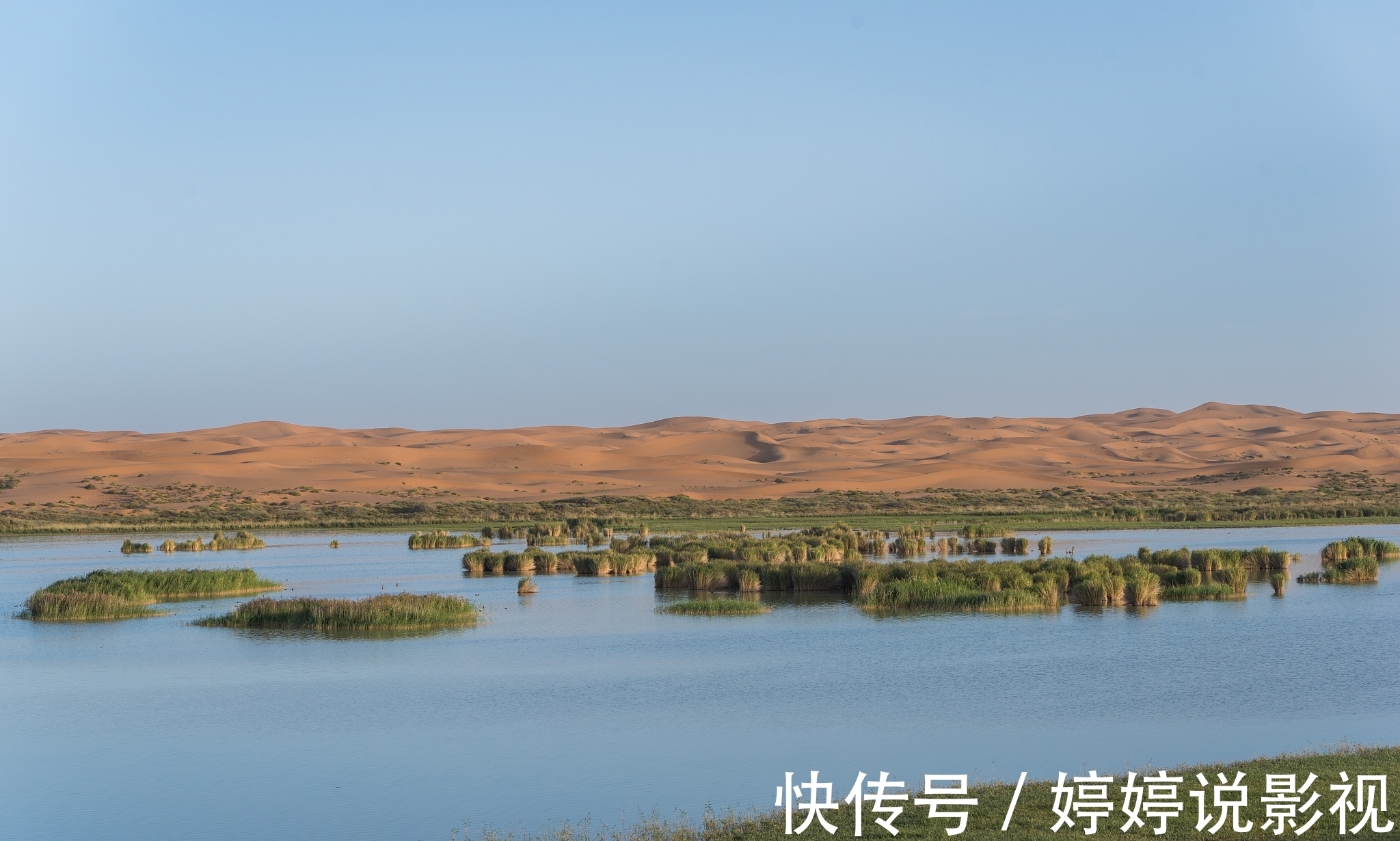 银川@古诗七律:敢让冰川辉秀色,争教春日赛奇葩