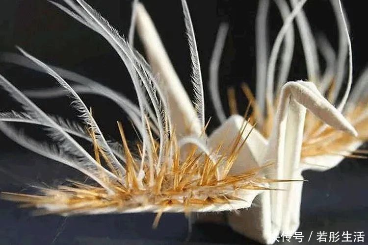 翅膀$抑郁小哥把一只2毛钱的千纸鹤折成了我买不起的样子,不但病好了还年入百万