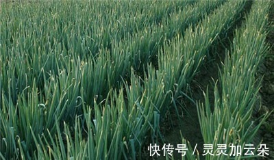 香味|70年代最让人怀念的几种食物，口感以及香味现在已经很难吃到！