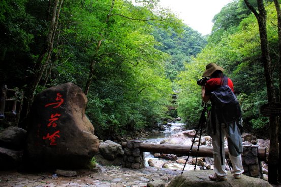 泰顺县|19泰顺县乌岩岭景区