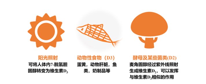 icu|全民补钙的今天，请不要忽略维生素D的重要性