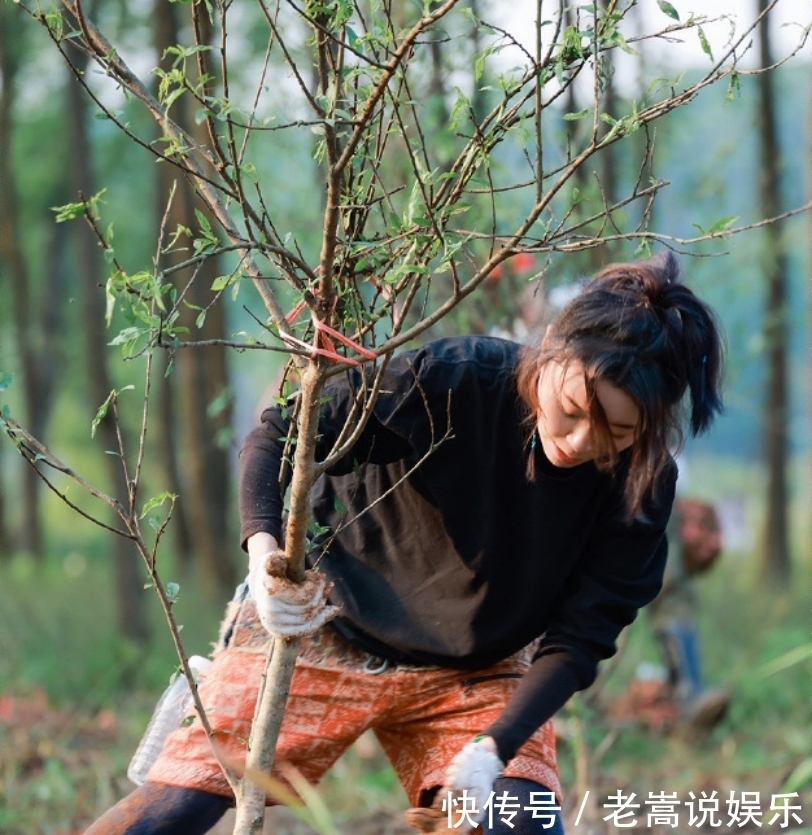 黄雅莉|《向往》女嘉宾凌晨四点才睡，做了一件让何炅很感动的事