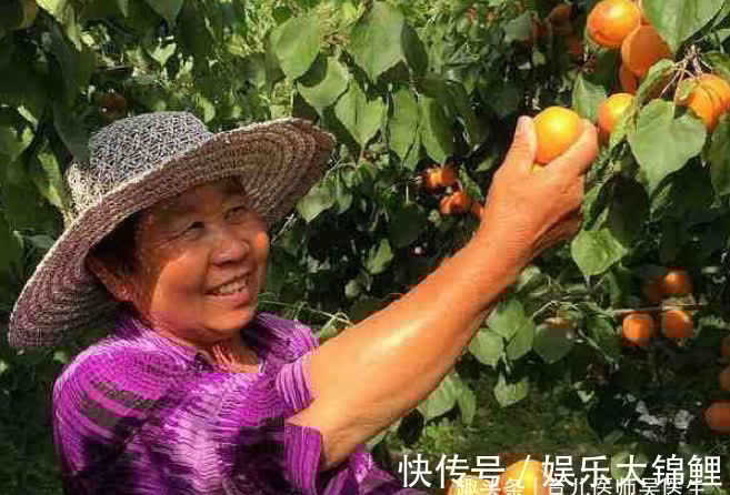 凤梨|秋天来爱美，不妨多吃养生食物，美容养颜，补肝明目，越吃越年轻