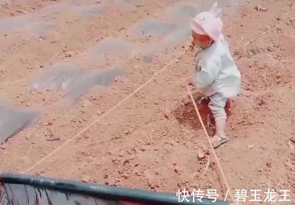 力气|“小奶嘴宝宝”下地干活火了,为了这个家也是操碎了心