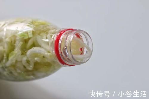 腌制|想吃东北酸菜,现在腌制也不晚,教你简单做法,想失败也不容易
