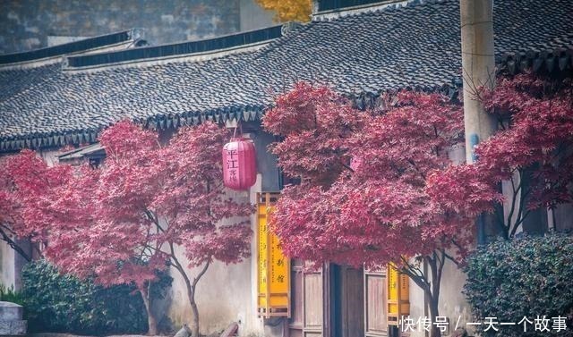 酬张少府|20首传诵千古的诗词,全是顶级名篇,每一首都值得背下来