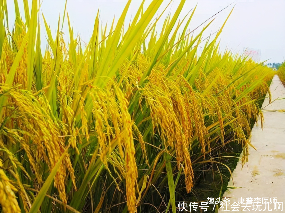 男女|对自身好处多的食物,男女常吃,缓解便秘,提亮肤色,谁吃谁好