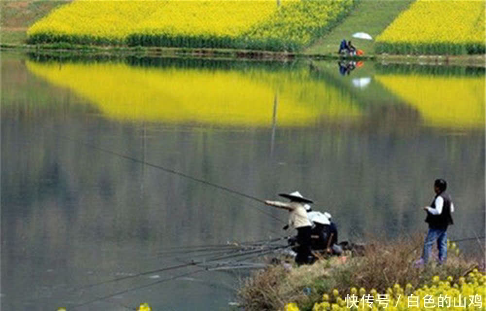 清明过后钓鱼,套路上有4钓4不钓,技巧跟着节气走,渔获差不了