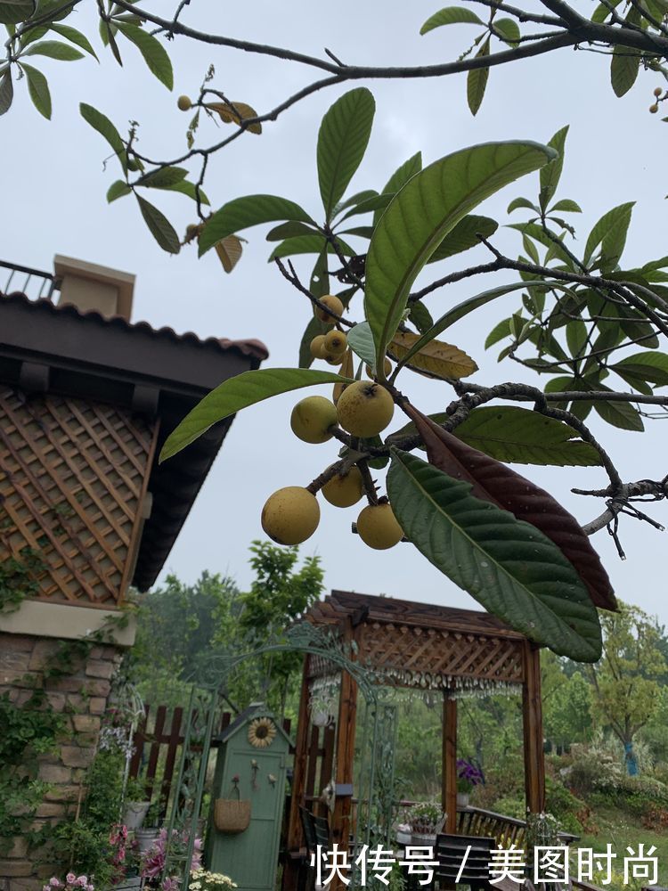 花了7个月,亲手打造123㎡别墅花园,网友:看一眼都会陶醉其中