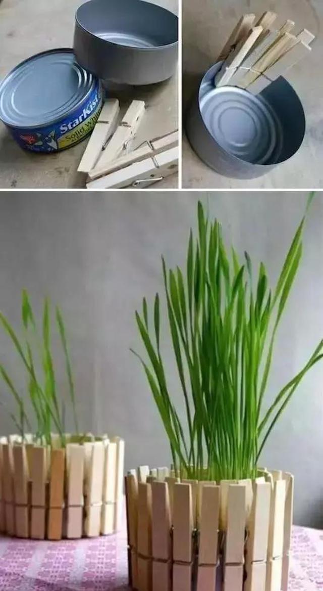 只要脑洞够,万物皆可花盆