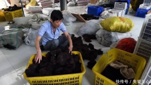 我们剪掉的头发,并没有烧掉,最终是送去了这个地方