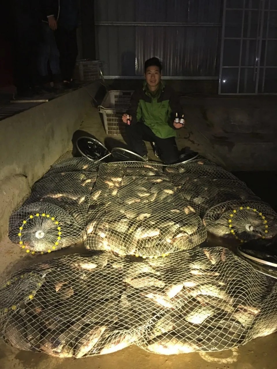 她的手|冬天越冷鲫鱼就越大吗?老钓友零下4度实战检验!