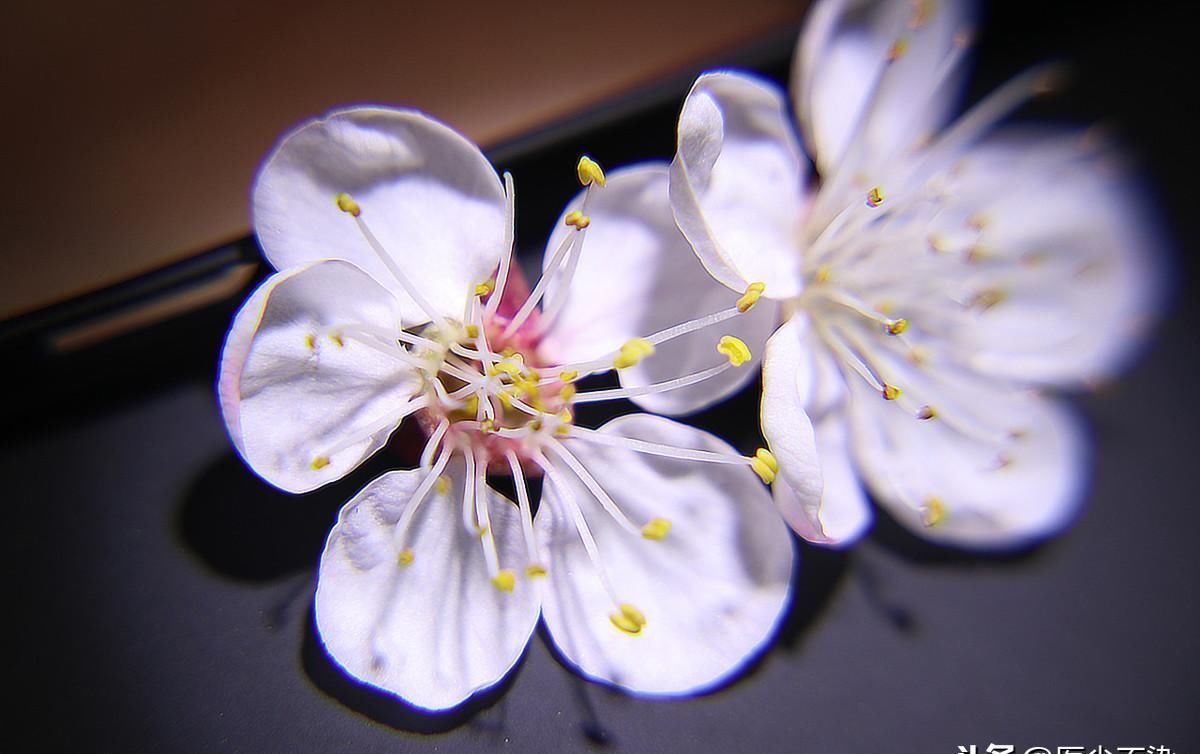 百病从寒起,你的身体是寒还是热6招让你彻底明白