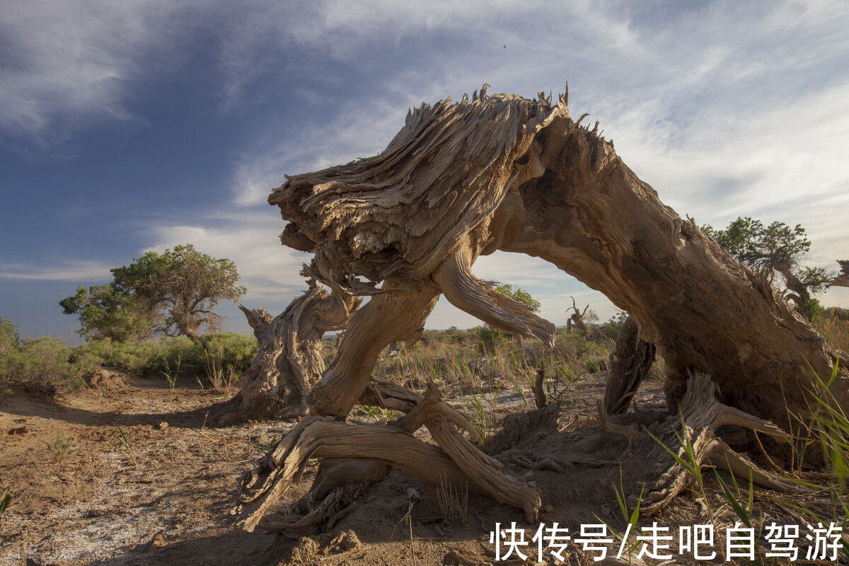 卧虎藏龙|它被称为新疆“横店”，是“中国最值得外国人去的地方”