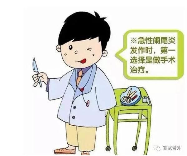 鲈鱼汤|小小的阑尾，也能惹出大麻烦！