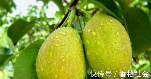 葡萄干|每天晚上吃3种食物,营养丰富、延缓衰老,好吃又不贵!