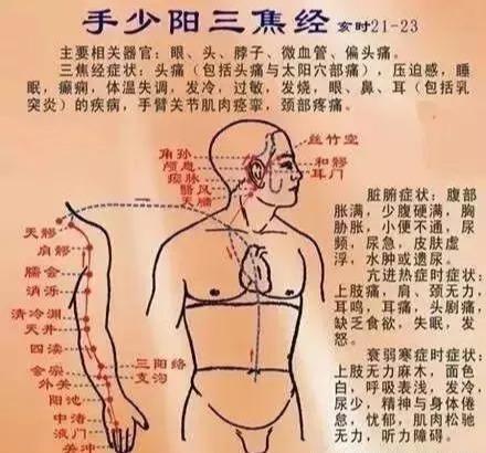 三焦者|搞懂了人体的“三焦”，所有疑难杂症，都可迎刃而解，建议收藏！
