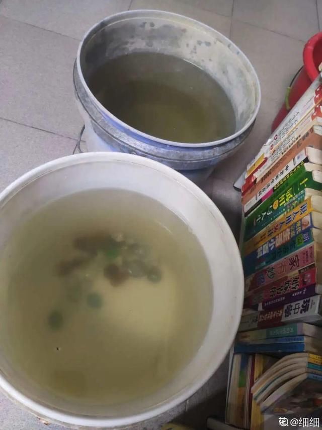 夏天养花,这3种事千万别做,否则黄叶又烂根