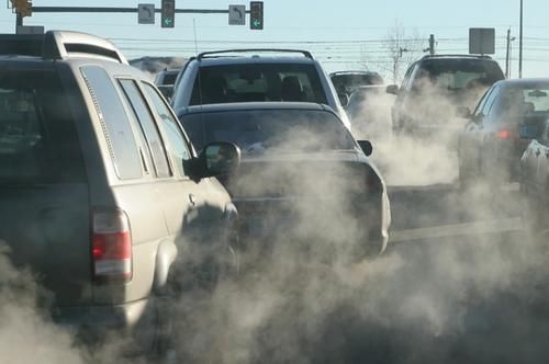 汽车尾气|吃一次相当于10斤猪血，呼吸科医生：肺不好的人常吃，清除肺污，肺越来越强壮
