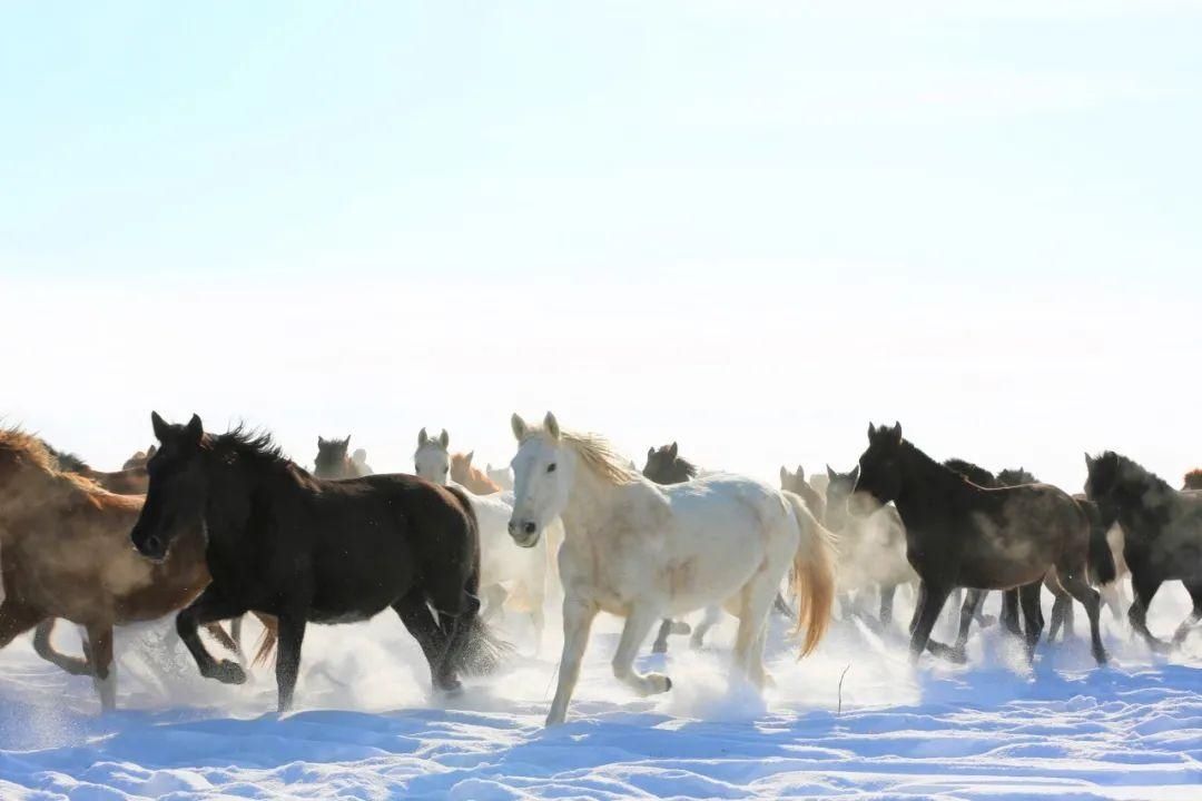 美景|冬日伊犁怎么玩 这里有不可错过的美景