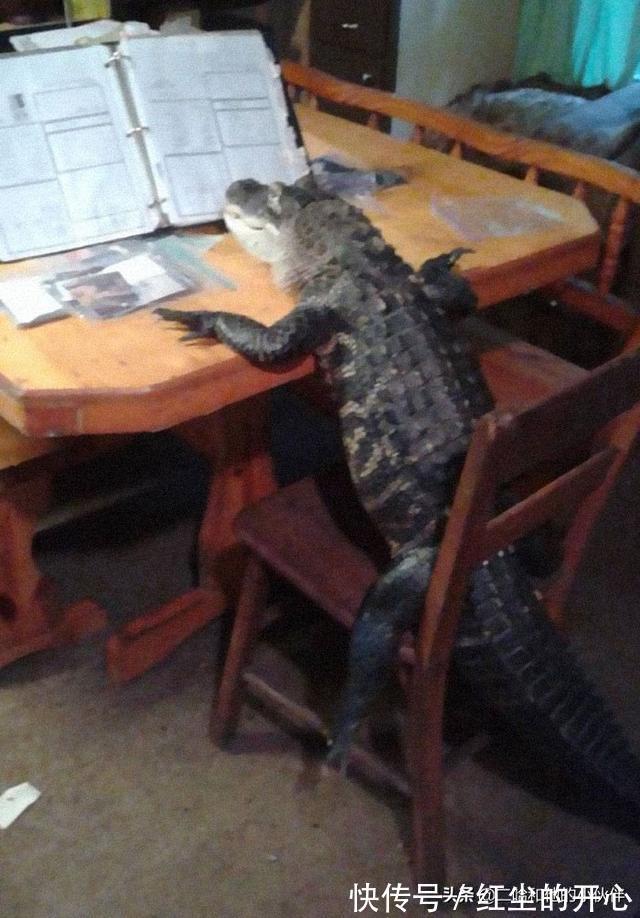 |网友分享的25个奇怪而搞笑的事情,你看过几件?