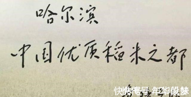 西南农学院!袁隆平书法他的书法质朴厚道,风骨遒劲透露书卷气