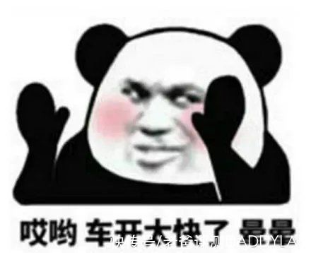 指南|如何才能不晕车？这份晕车拯救指南请查收