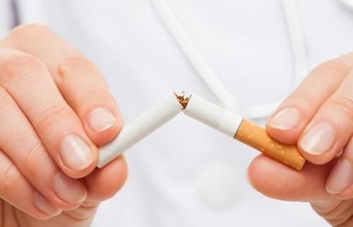 长寿|寿命长的男性,基本符合“2慢、1小”的特征,多占几个是好事