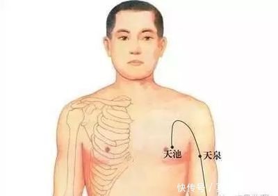多汗|有人再热也不出汗,有人不动一身汗?老中医:多汗补气,无汗养血